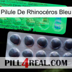 Pilule De Rhinocéros Bleu new04